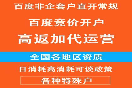 SEM竞价代运营成功案例解析